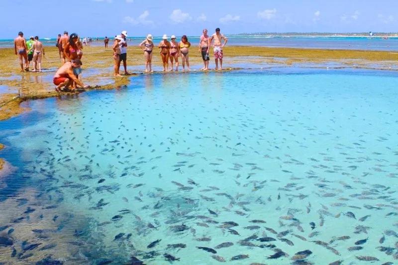 Porto de Galinhas, Muro Alto - Mana Beach Experience by Relax Flats