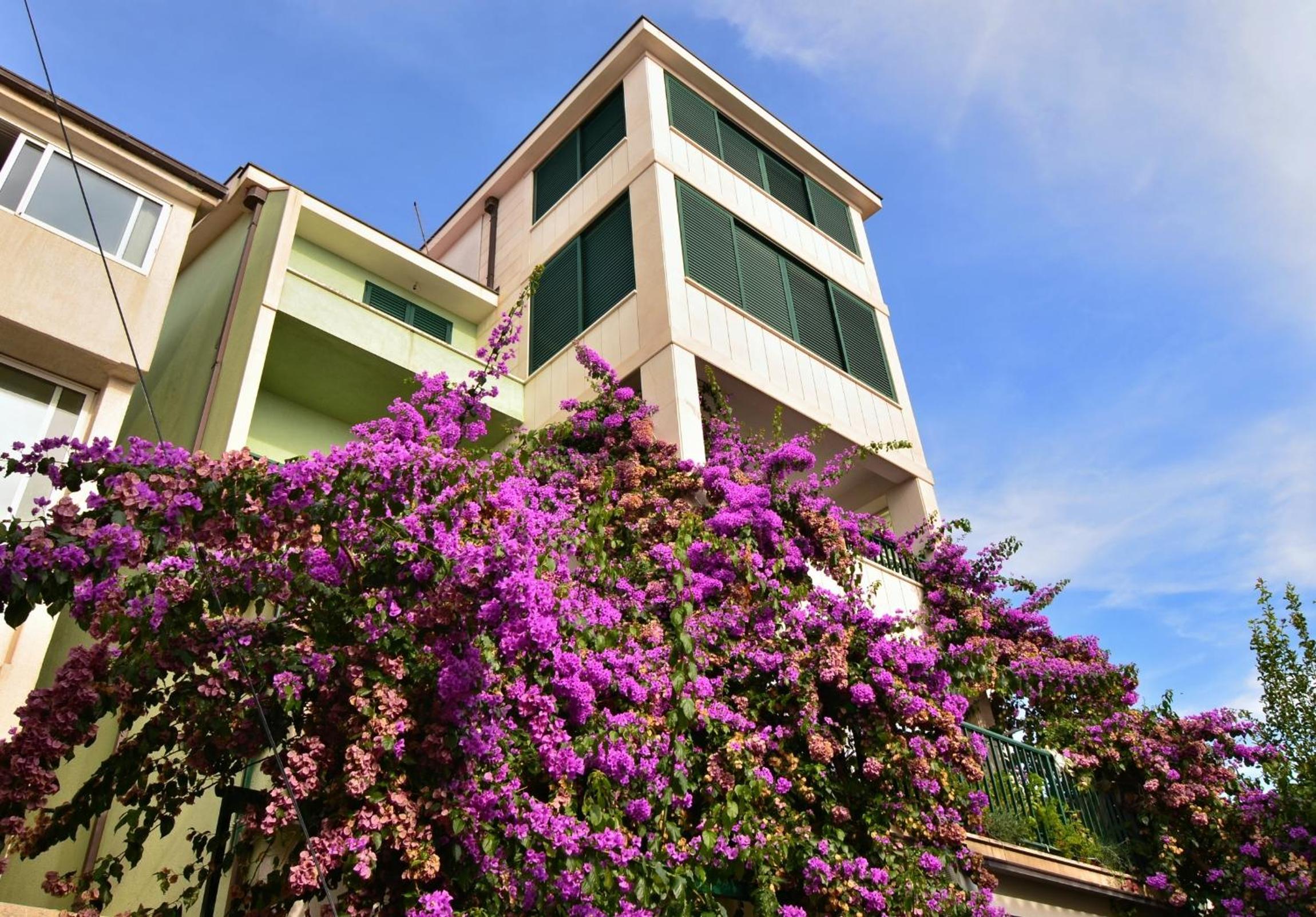 Apartments Mustapic