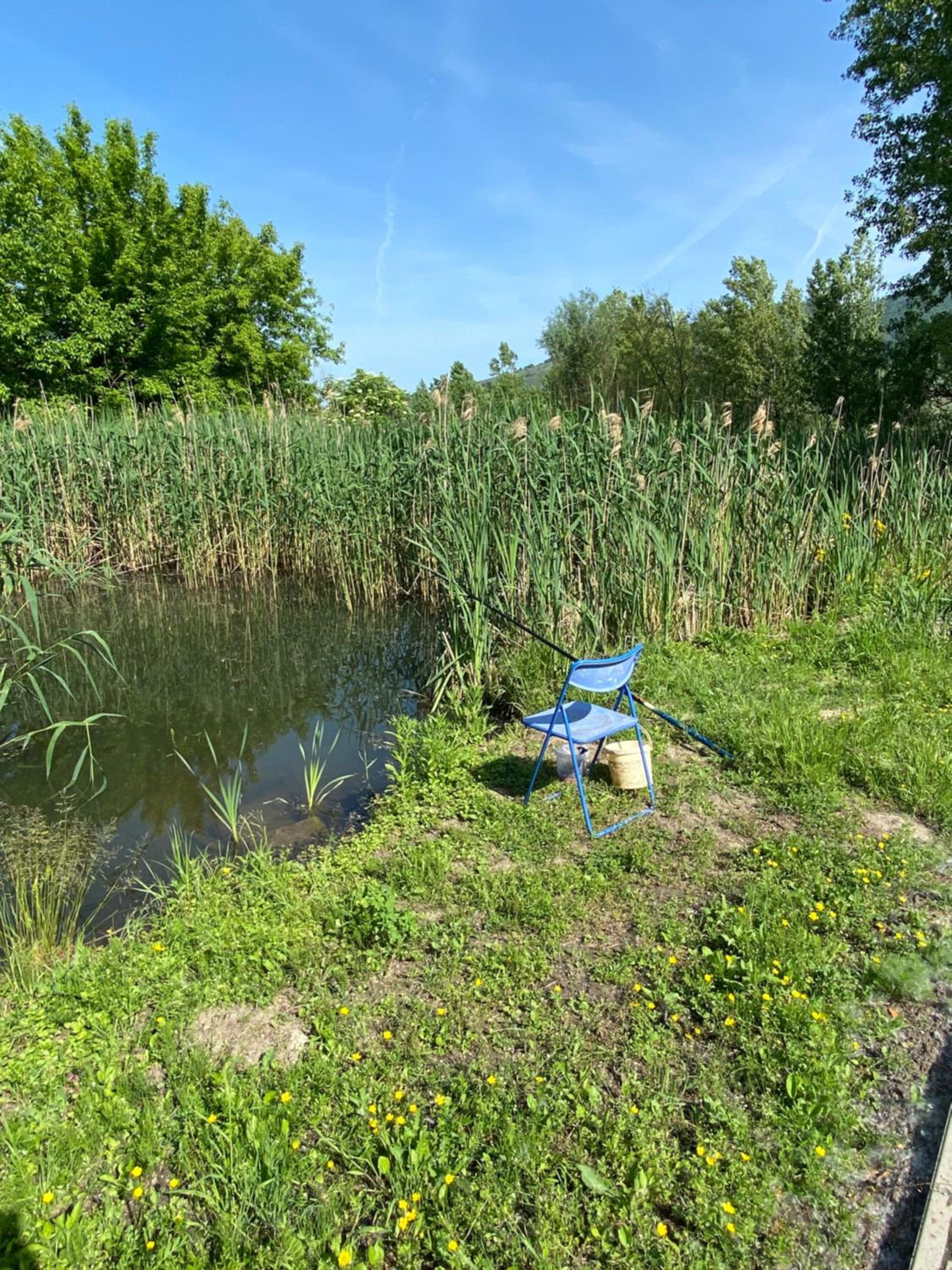 Photo 27