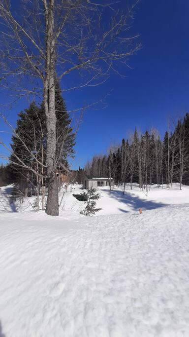 La Rikiki du petit ruisseau