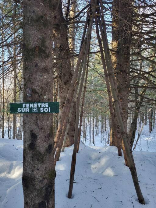 La Rikiki du petit ruisseau