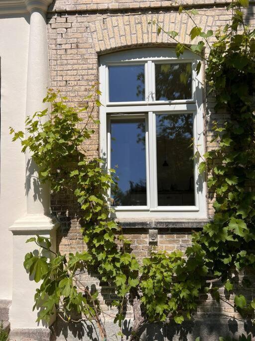 Idyllisches Appartement nahe Ostsee und Schlei