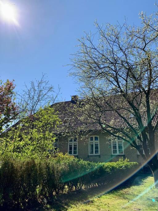 Idyllisches Appartement nahe Ostsee und Schlei