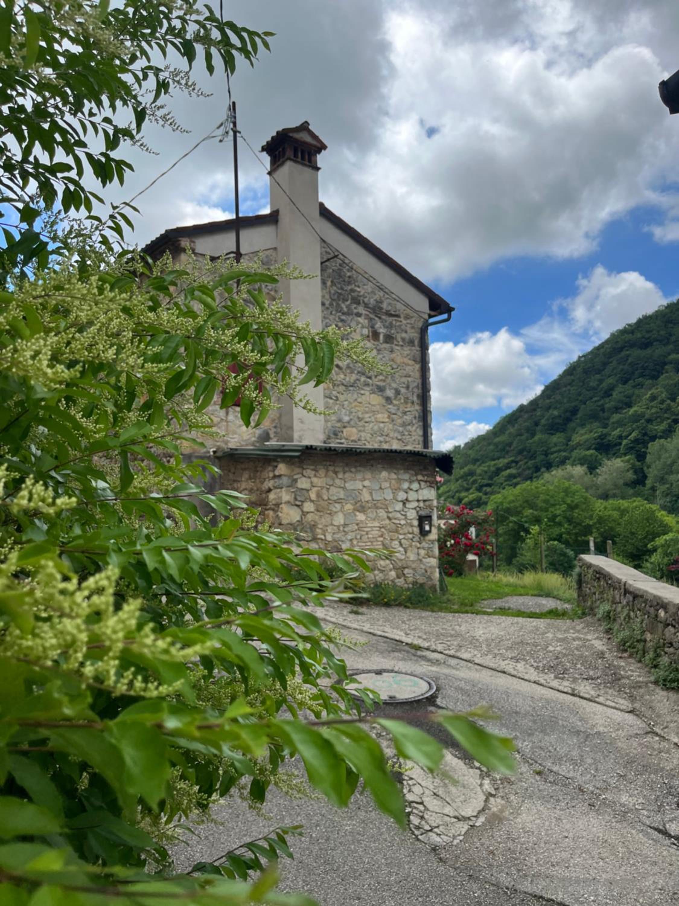 ALTRAVISTA TARZO