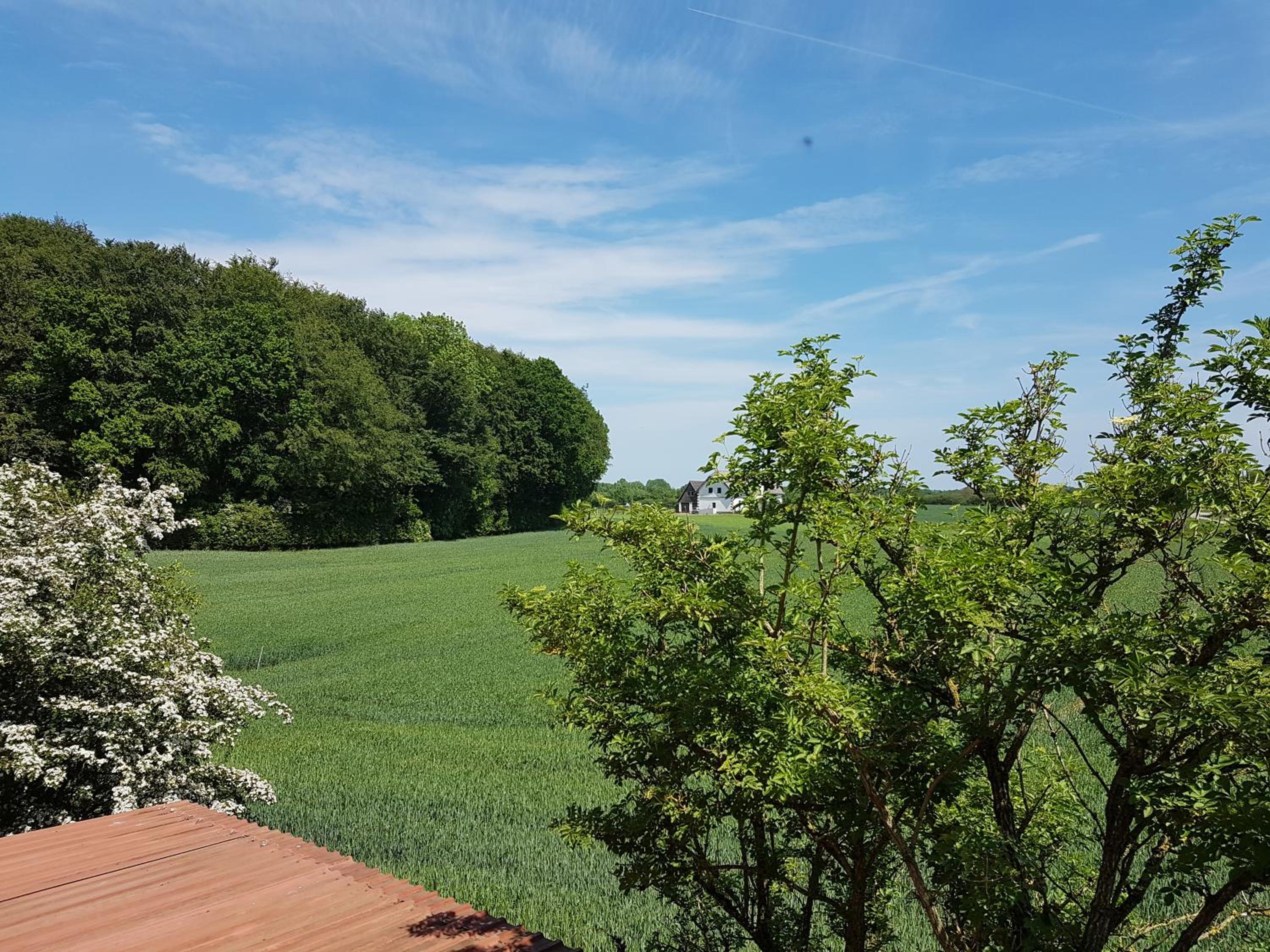 Ferienhaus Landleben
