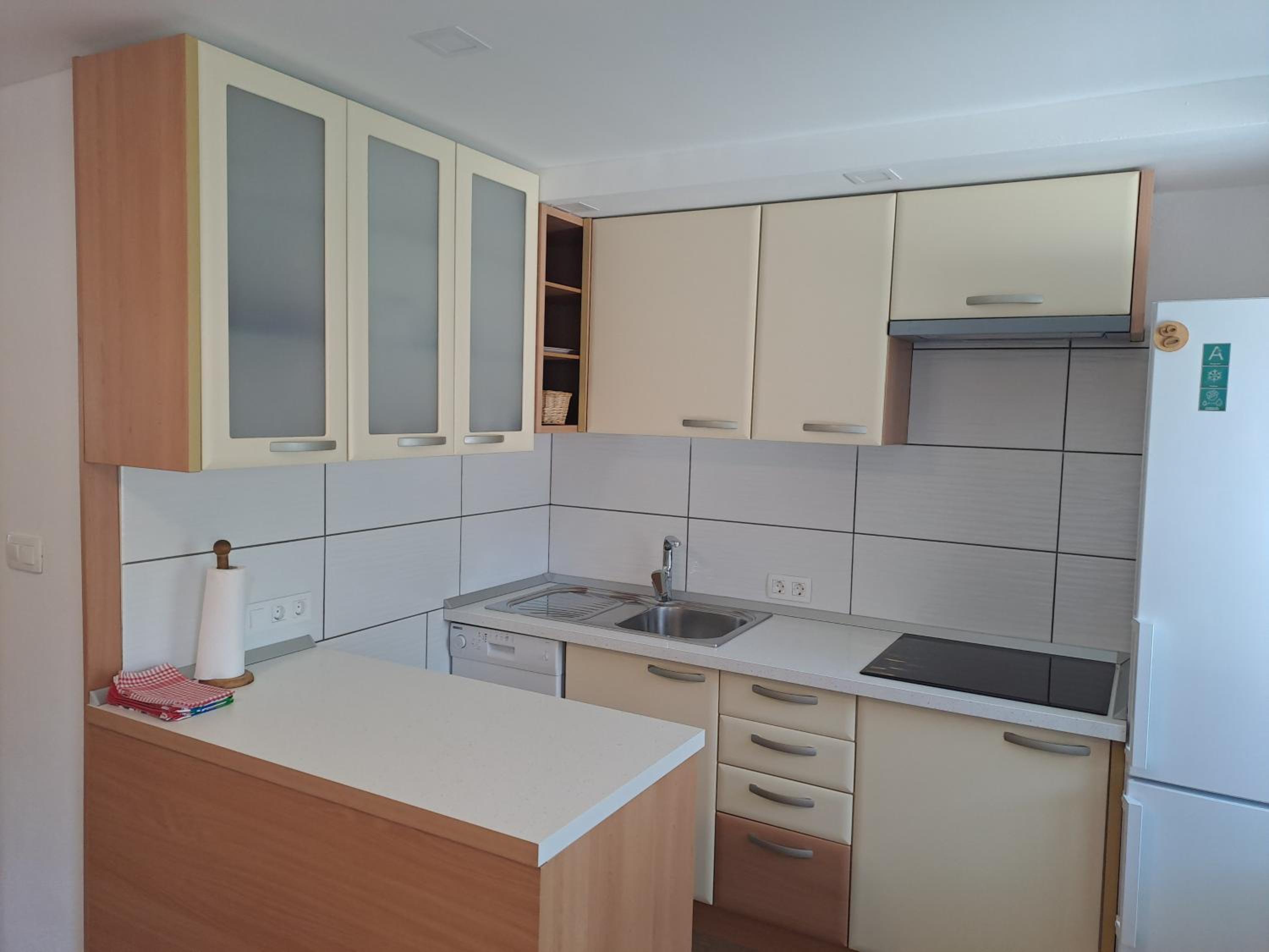 Apartment Danica