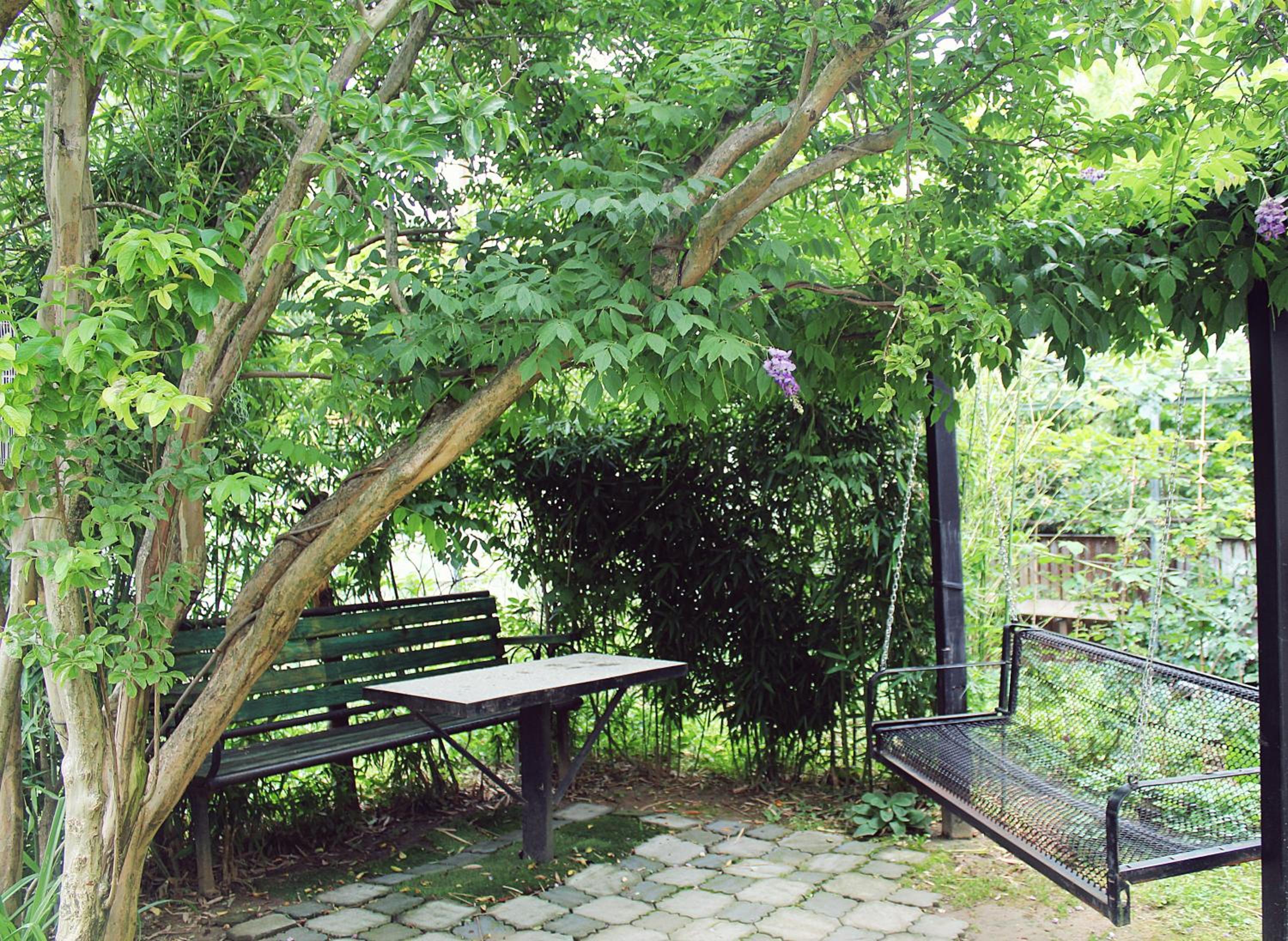 Photo 7