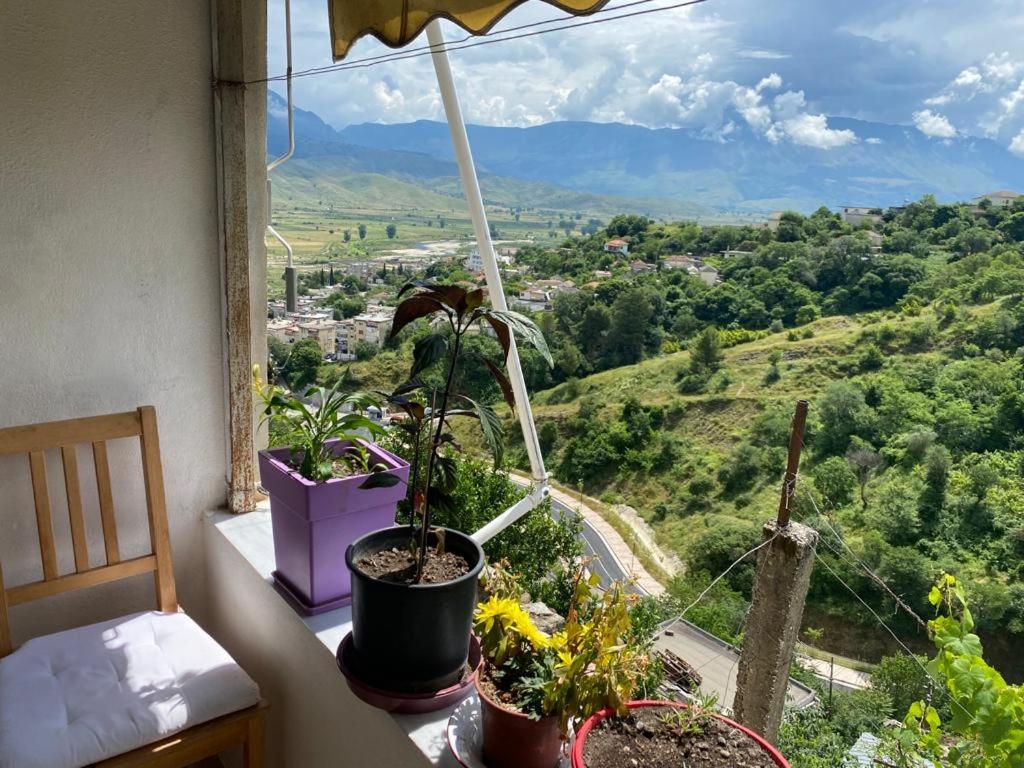Lula Guesthouse