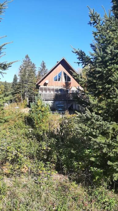Le relaxant chalet du petit ruisseau