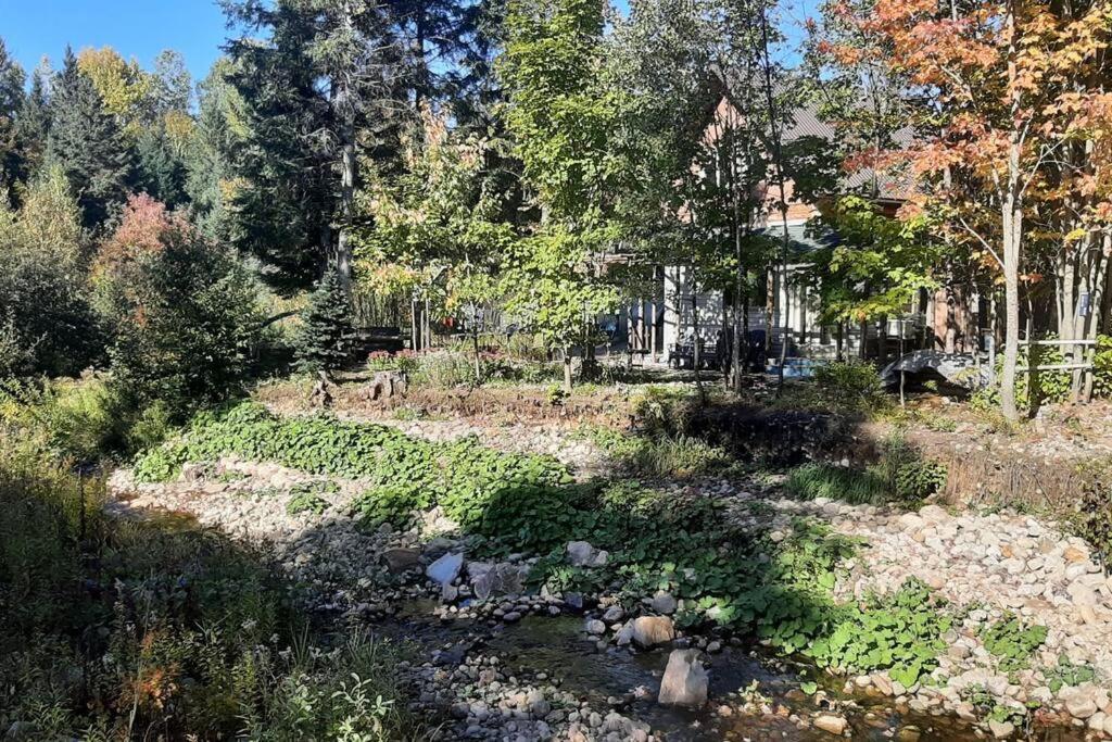 Le relaxant chalet du petit ruisseau