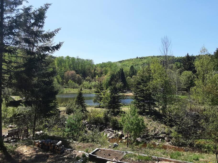 Le relaxant chalet du petit ruisseau