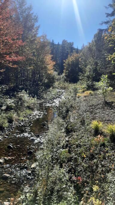 Le relaxant chalet du petit ruisseau