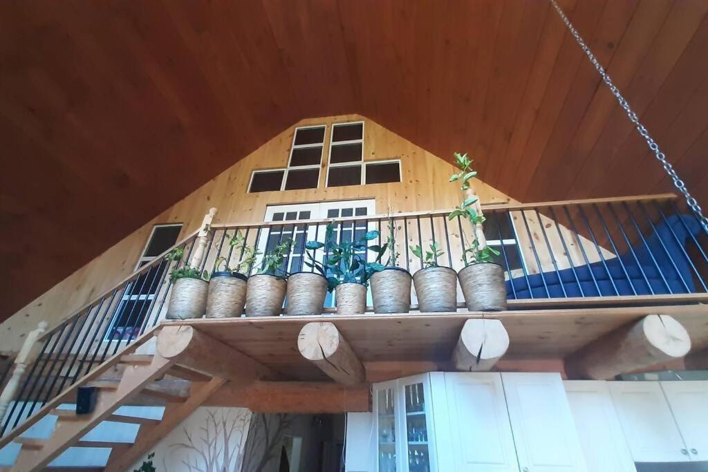 Le relaxant chalet du petit ruisseau