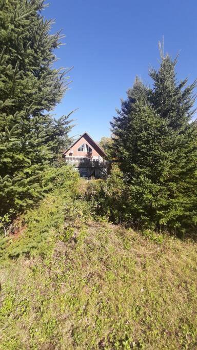 Le relaxant chalet du petit ruisseau