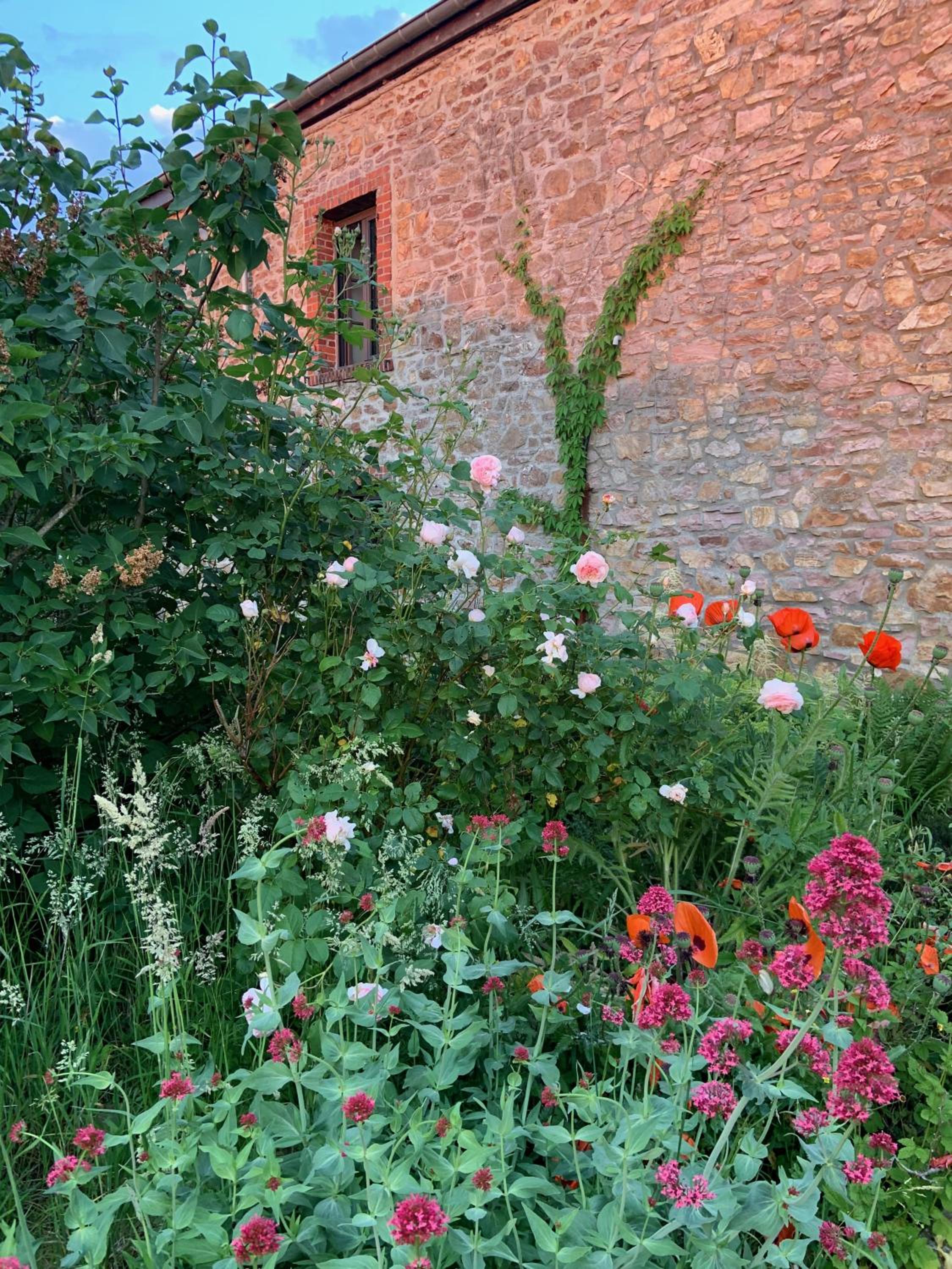 Gîte Banet-Sart à Daverdisse