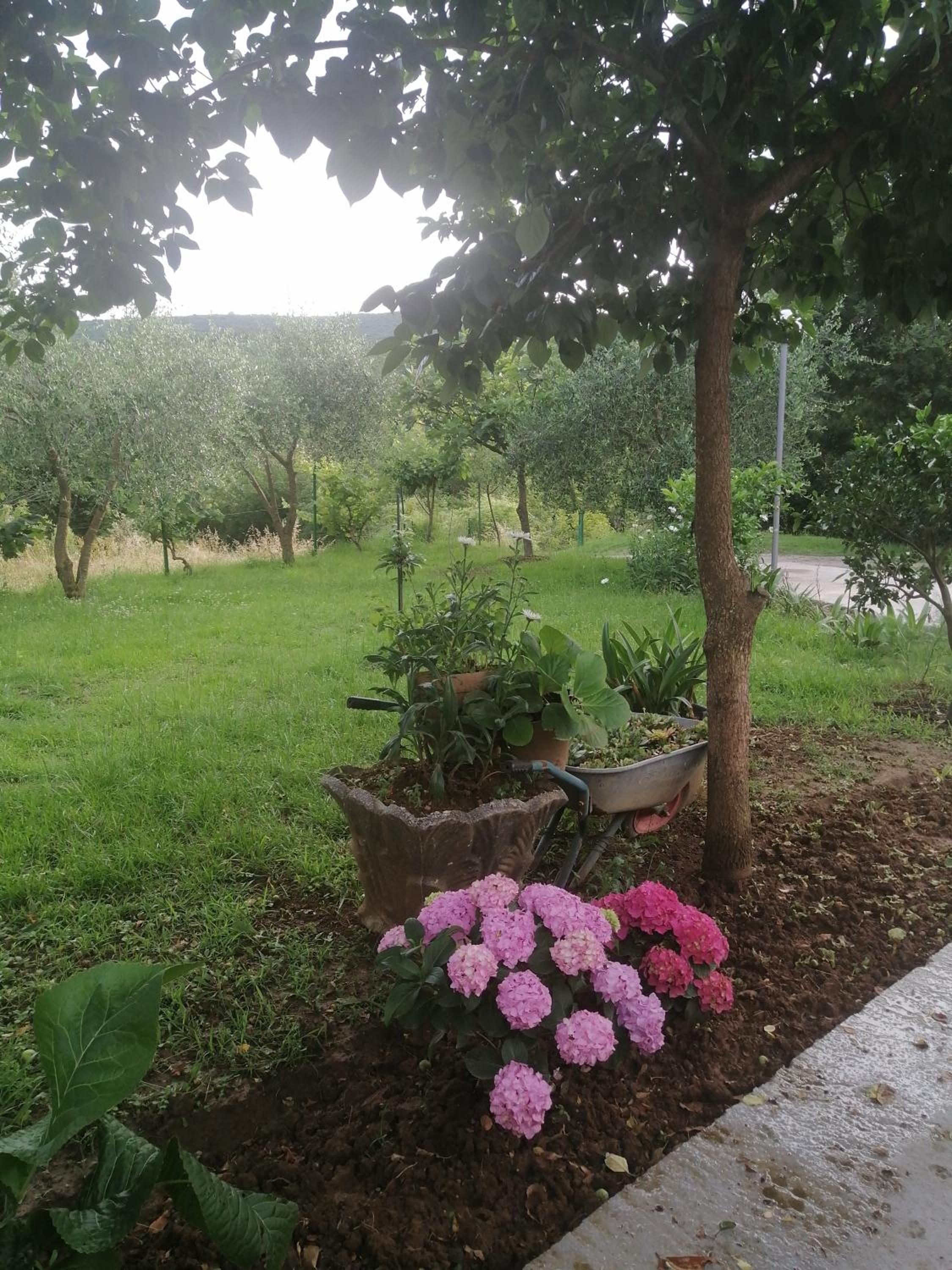 Apartman Petovic