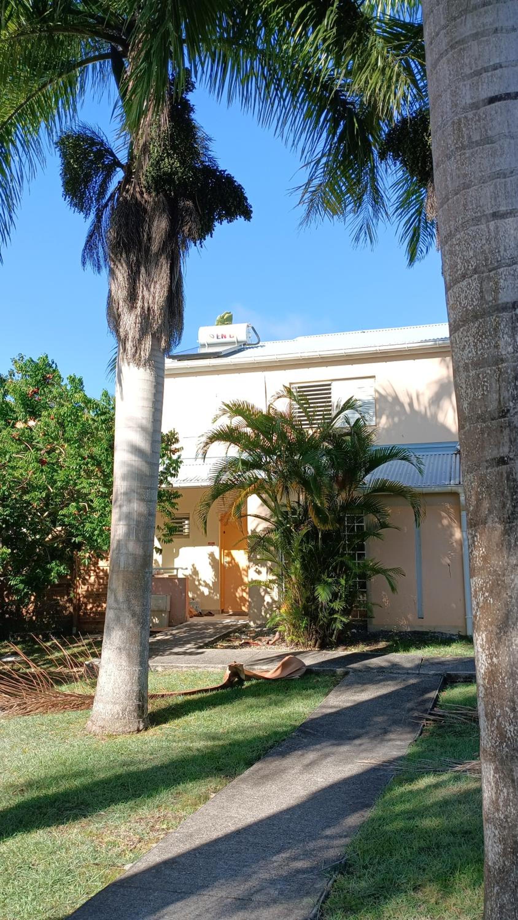 Villa du voyageur T4 avec jardin au Gosier view 3