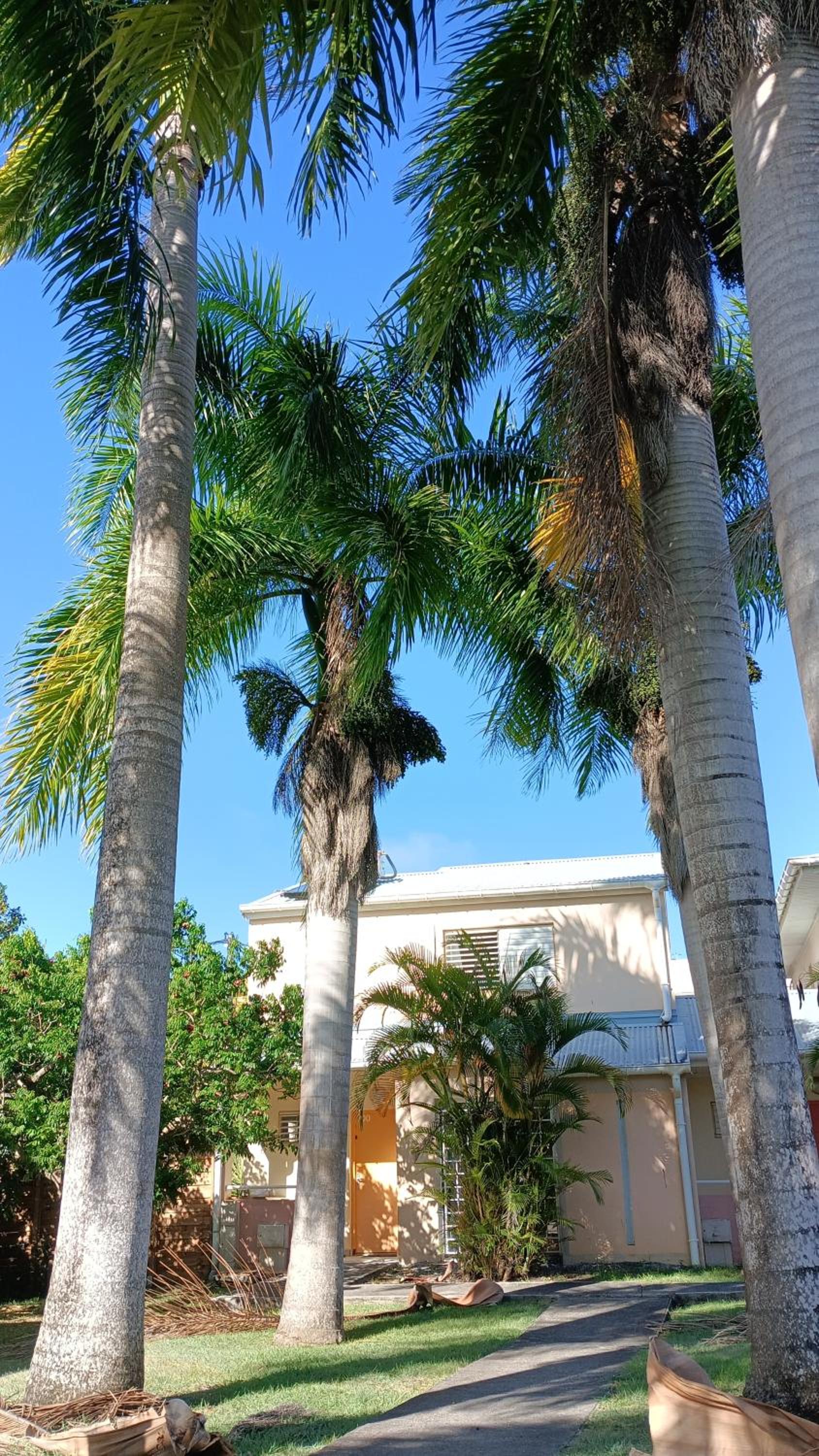 Villa du voyageur T4 avec jardin au Gosier view 4