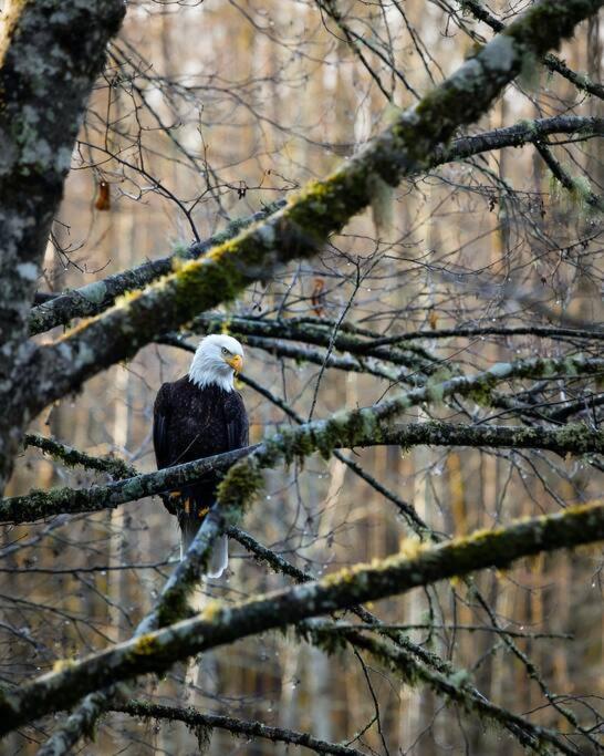 Slice of Squamish Heaven