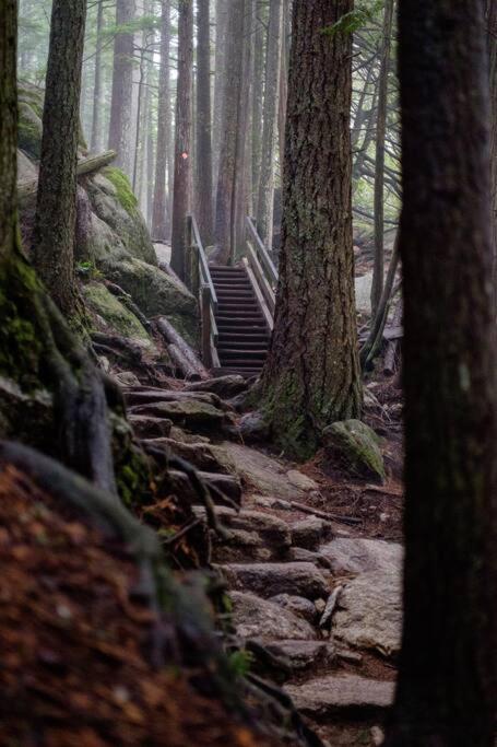 Slice of Squamish Heaven