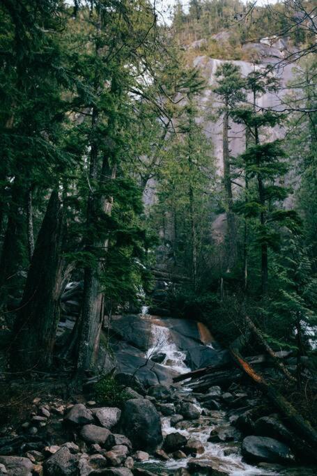 Slice of Squamish Heaven
