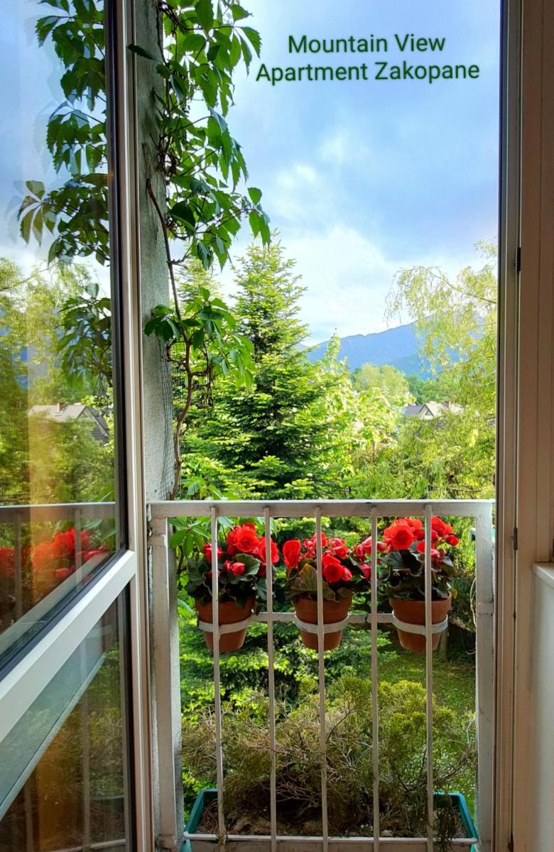 Mountain View Apartment Zakopane view 4