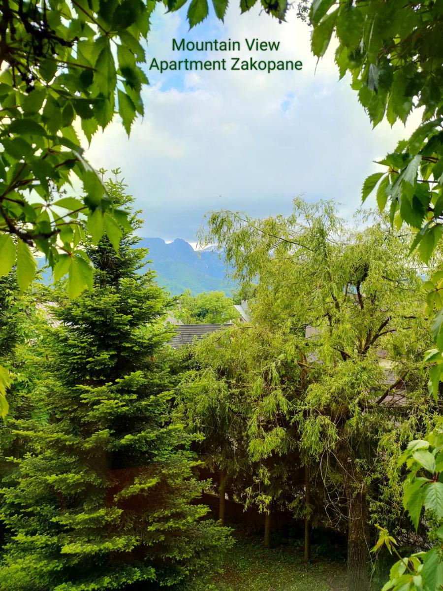 Mountain View Apartment Zakopane view 5