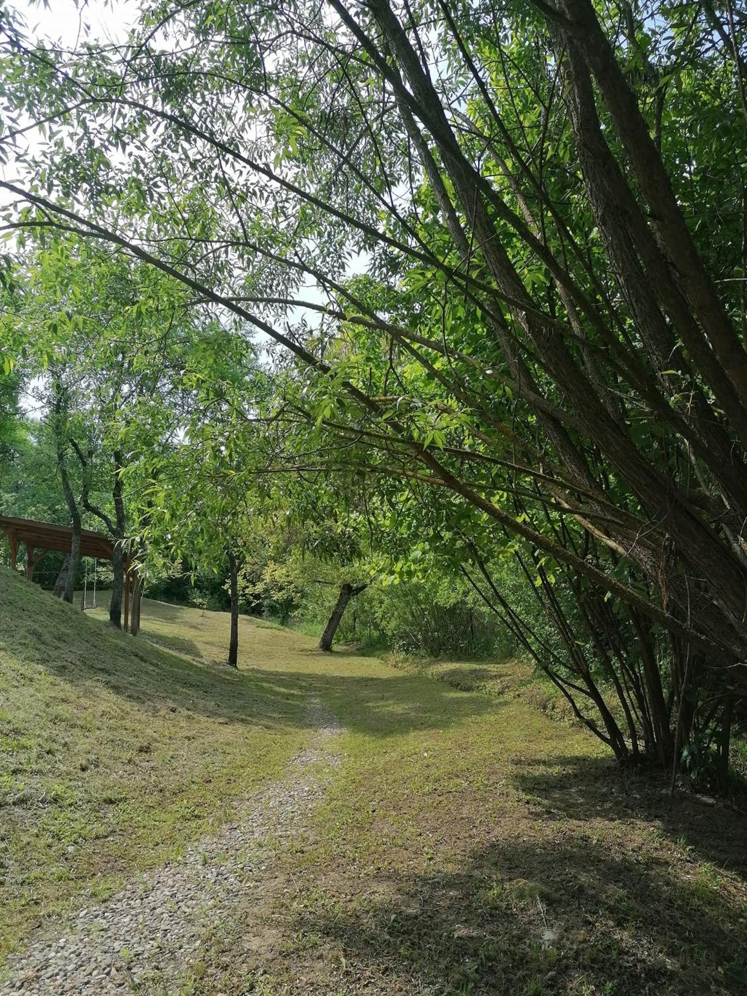 Photo 26