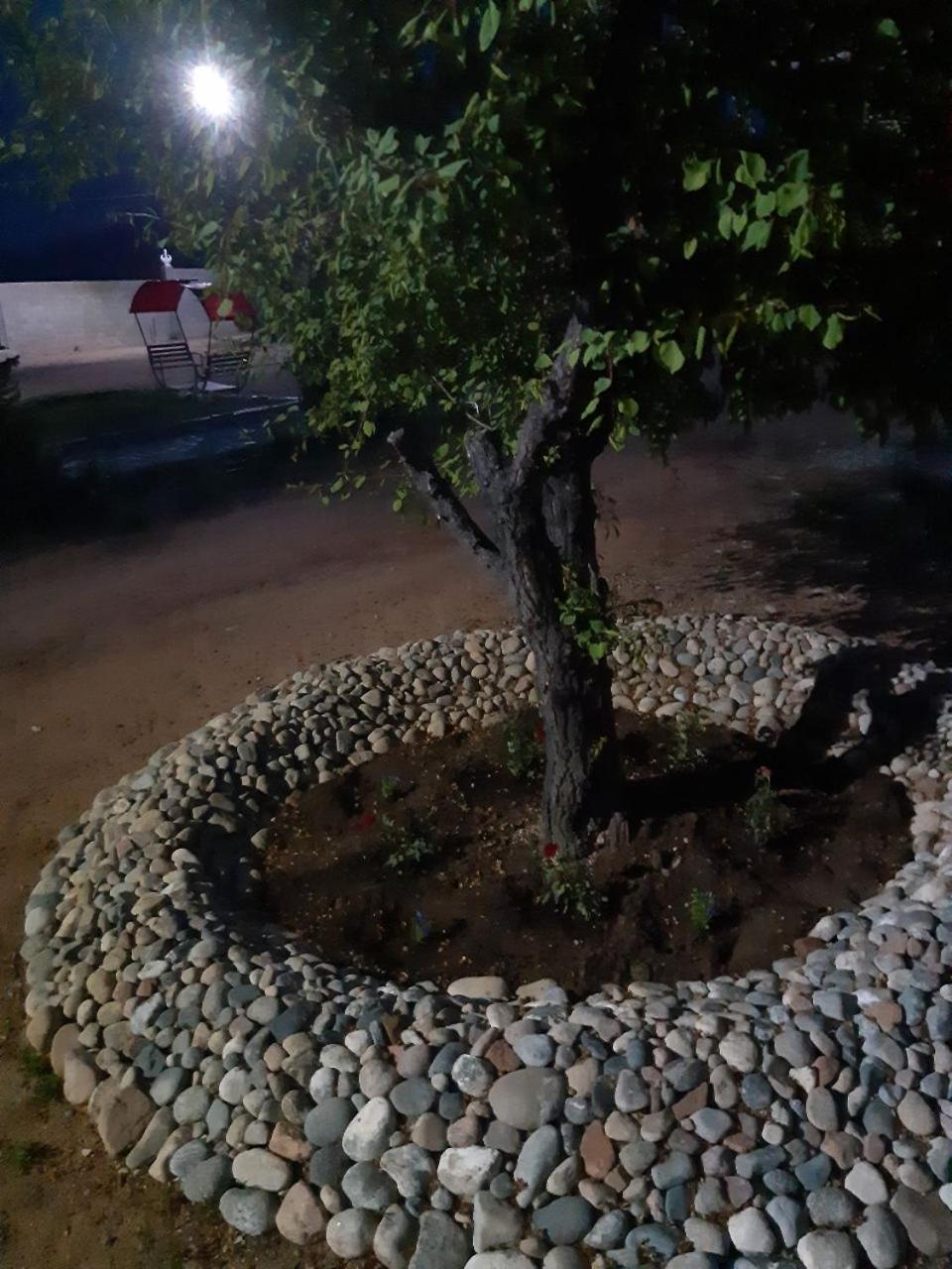 Photo 12