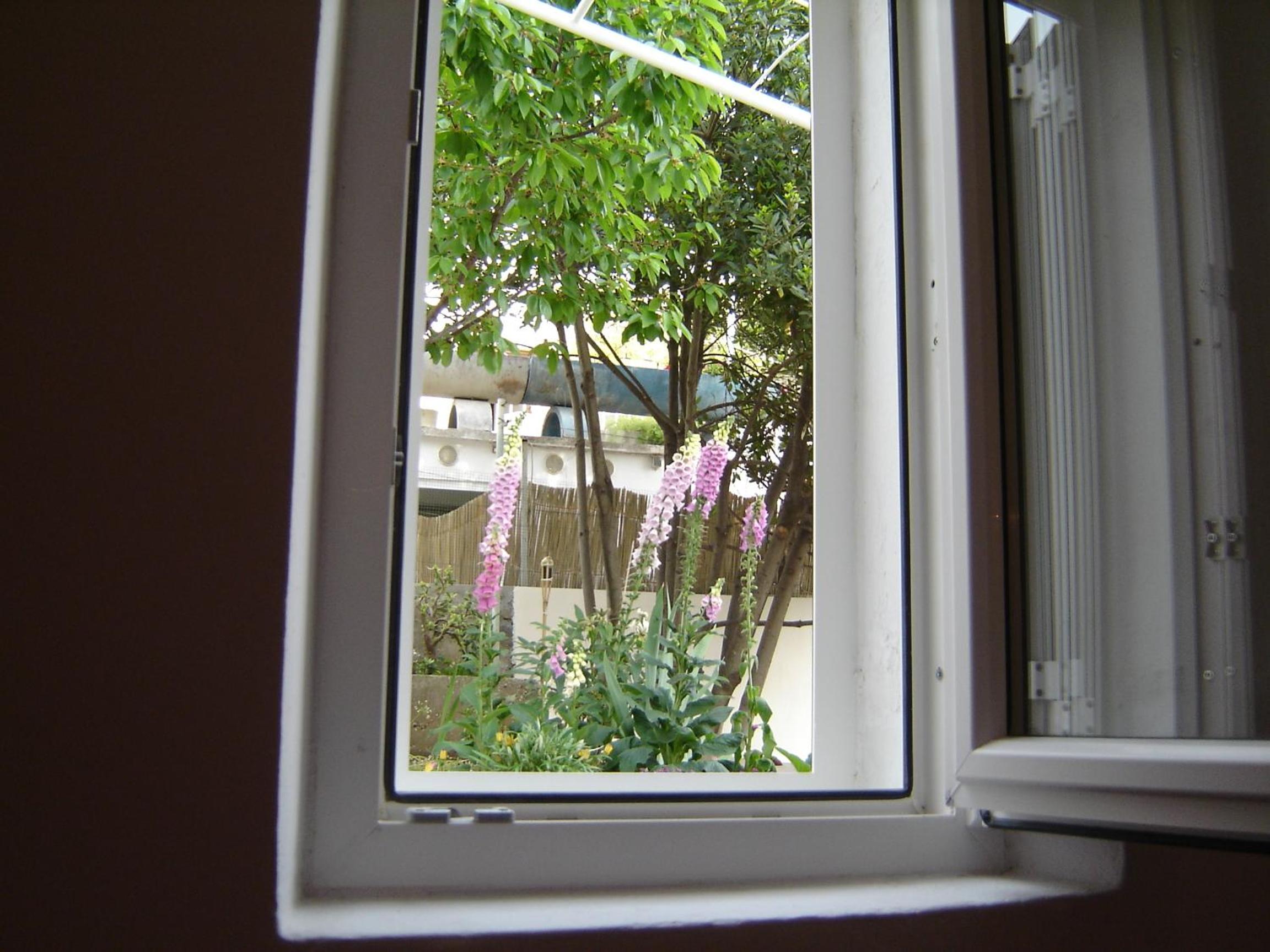 Apartmani LuNa