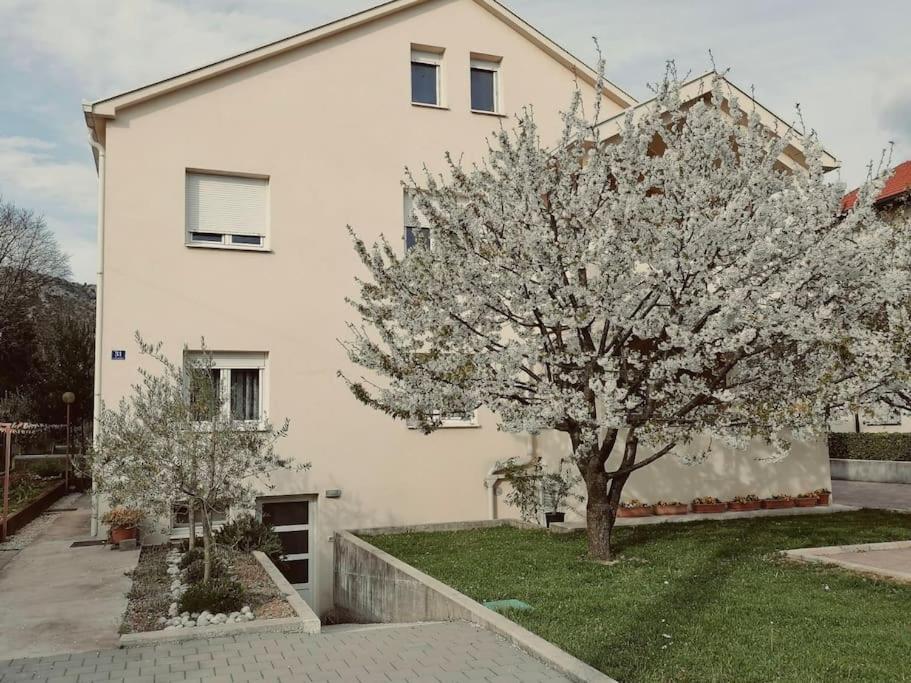 Apartman Cherry