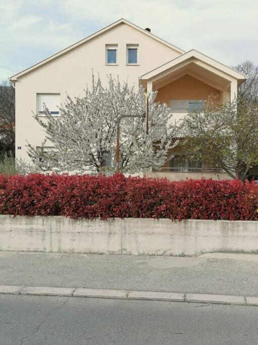 Apartman Cherry