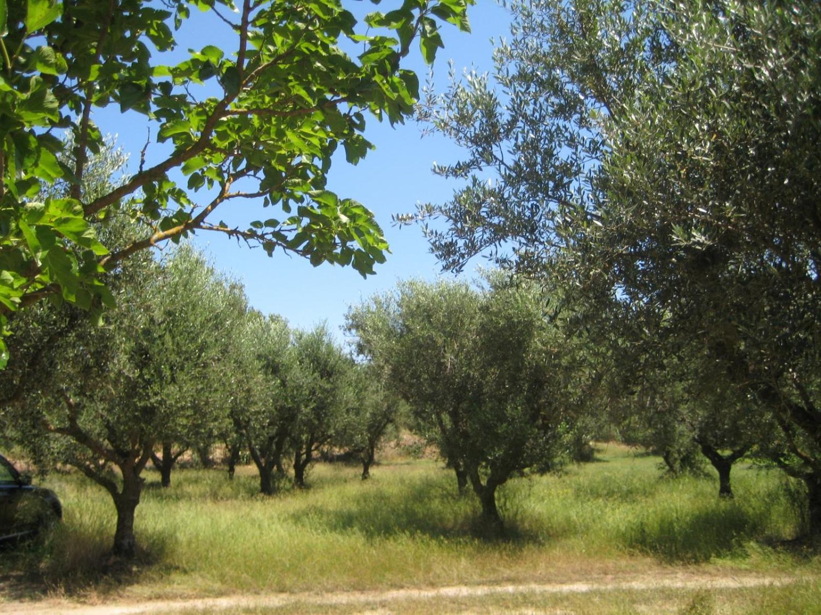 Photo 25