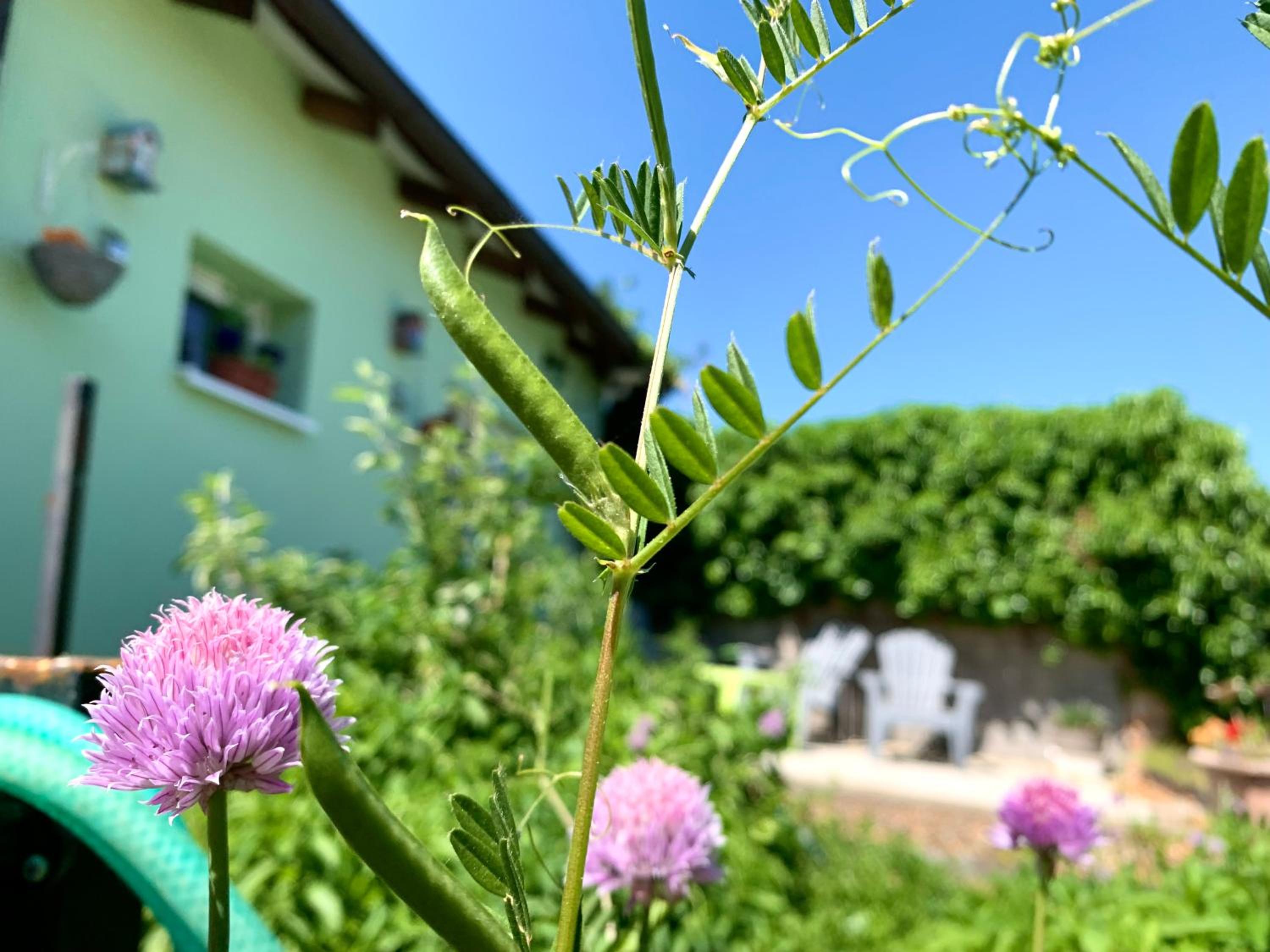 Penzion Villa Verde Moravia