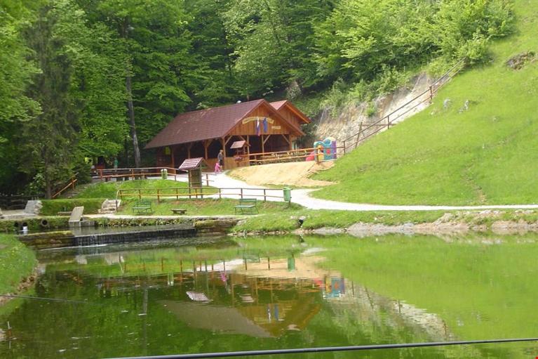 Photo 26