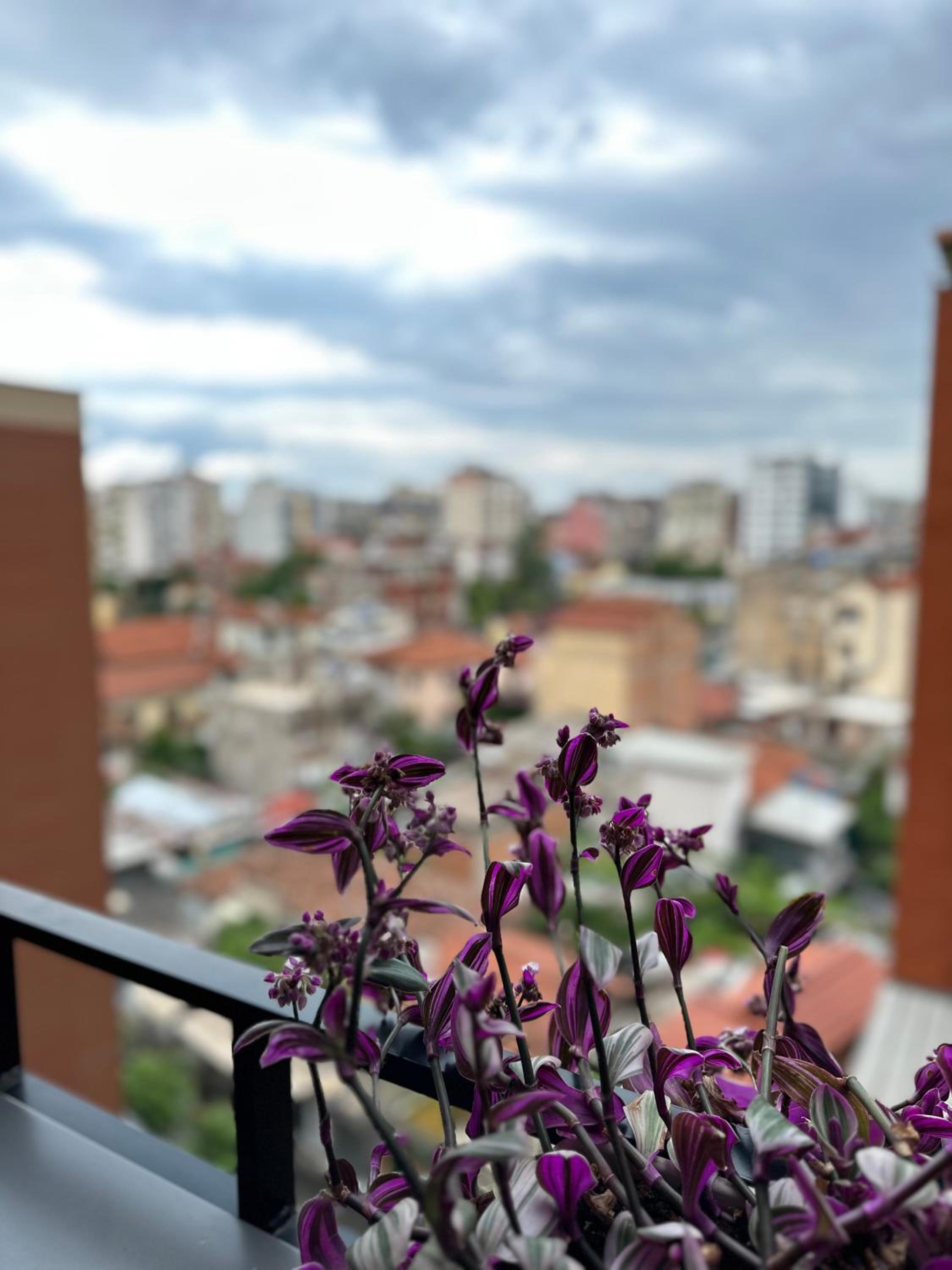ERG APARTMENTS