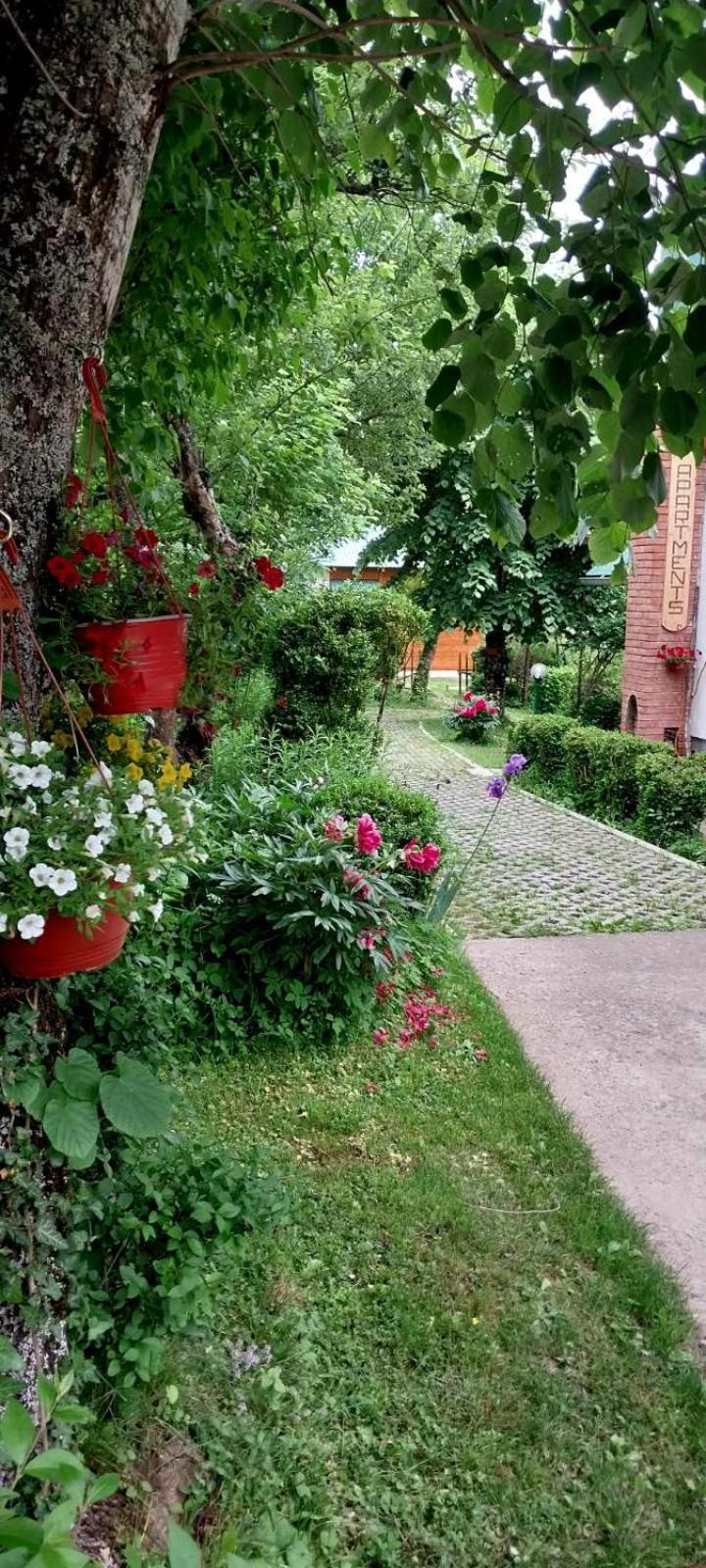 Photo 39