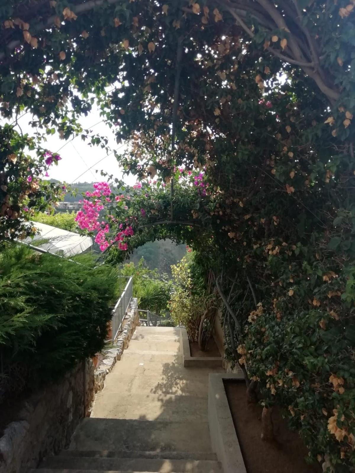 Villa Del Conte