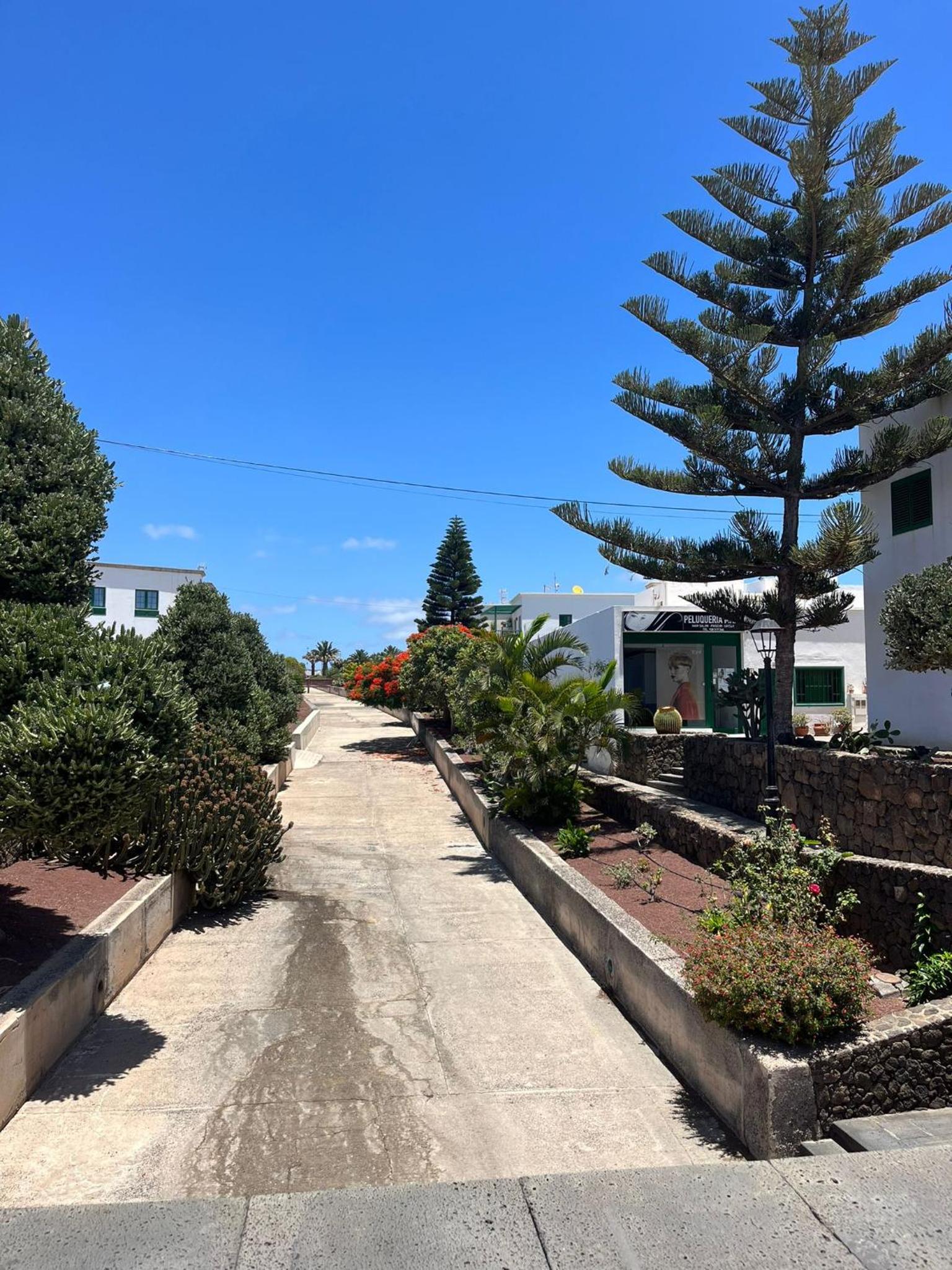 Casa Noas