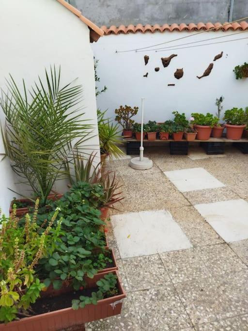 Casa Rural Teresita Entera Tranquila Llena de Bienestar