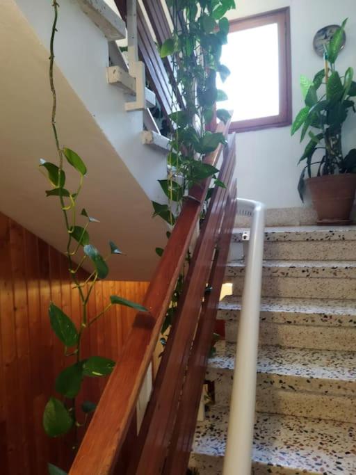 Casa Rural Teresita Entera Tranquila Llena de Bienestar