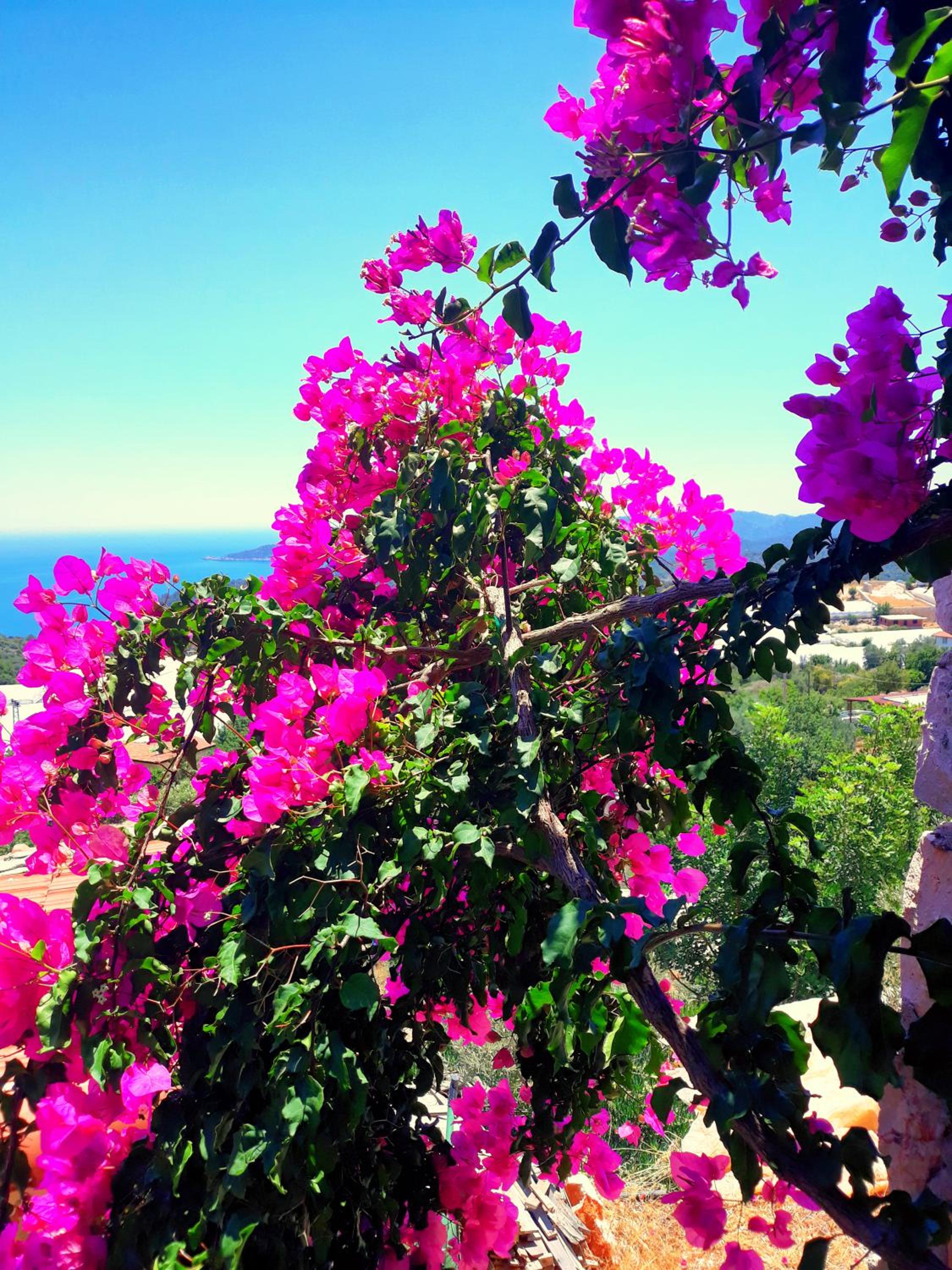 Istlada Taş Ev Apart - Kekova Manzarası - Image 28