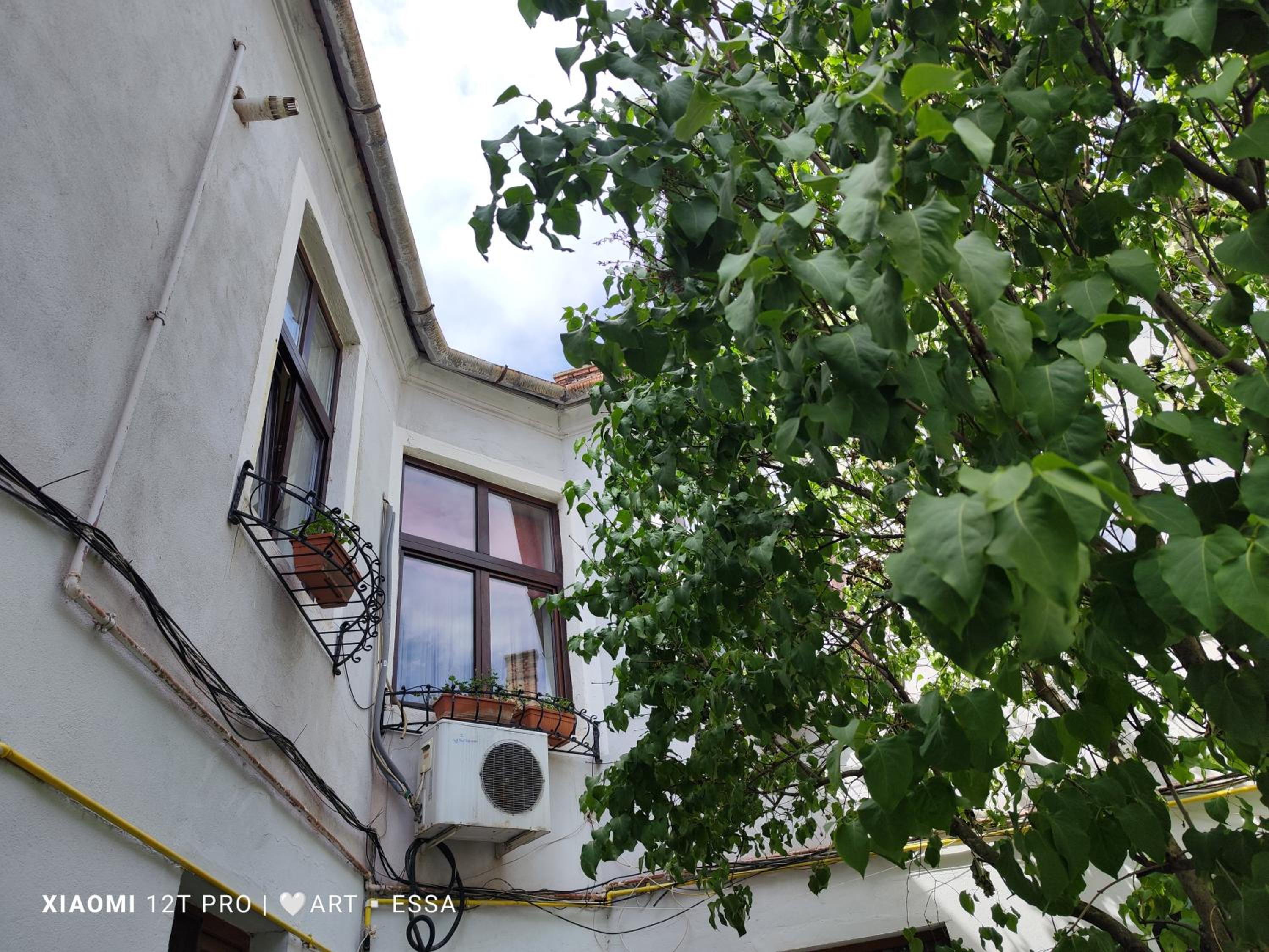 Photo 35