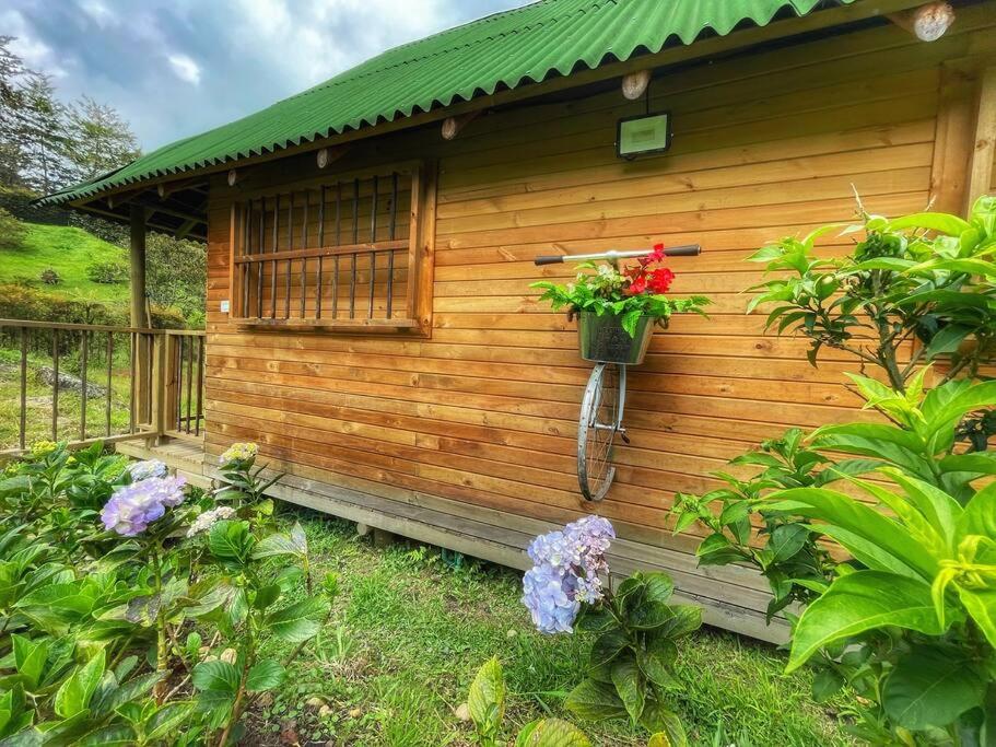 Espectacular Cabaña Loft en Guatape - Jacuzzi