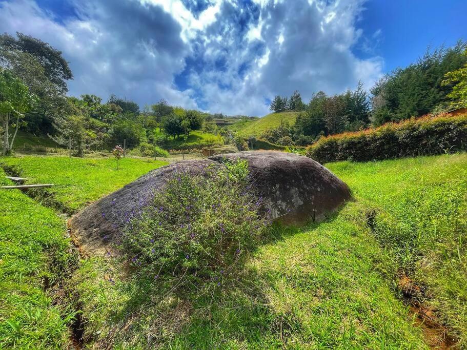 Espectacular Cabaña Loft en Guatape - Jacuzzi