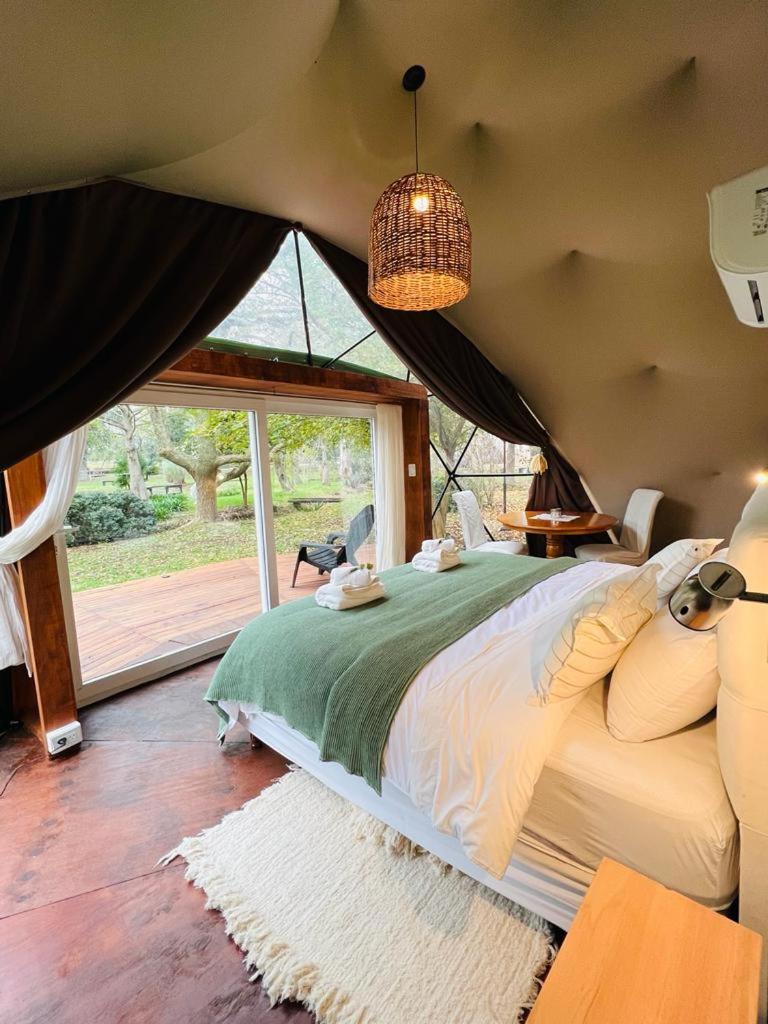 Don Aniceto Lodges & Glamping
