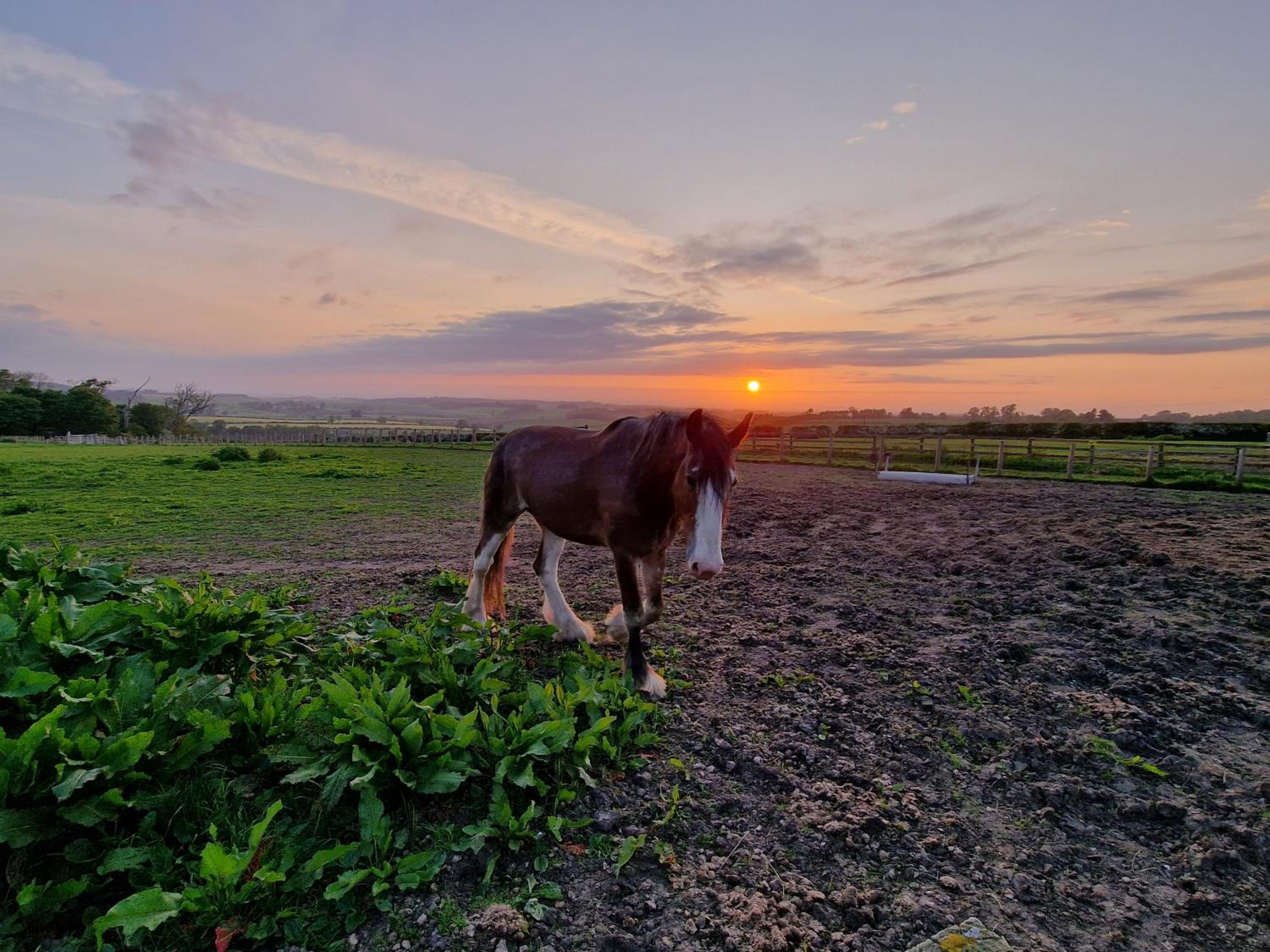 Hay Farm House view 5