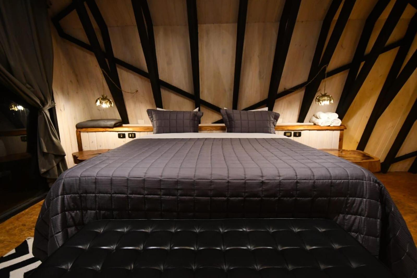 Art Lodge