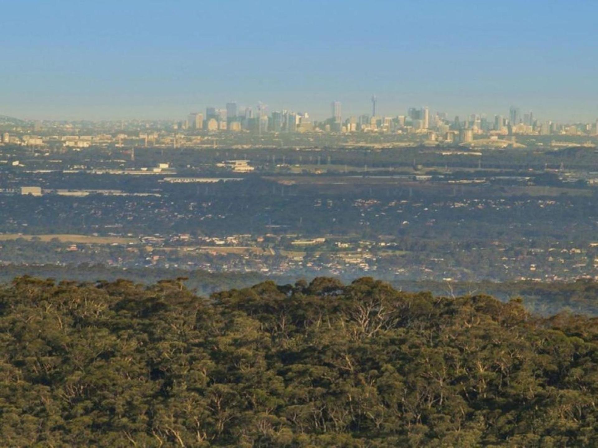 Sydney View