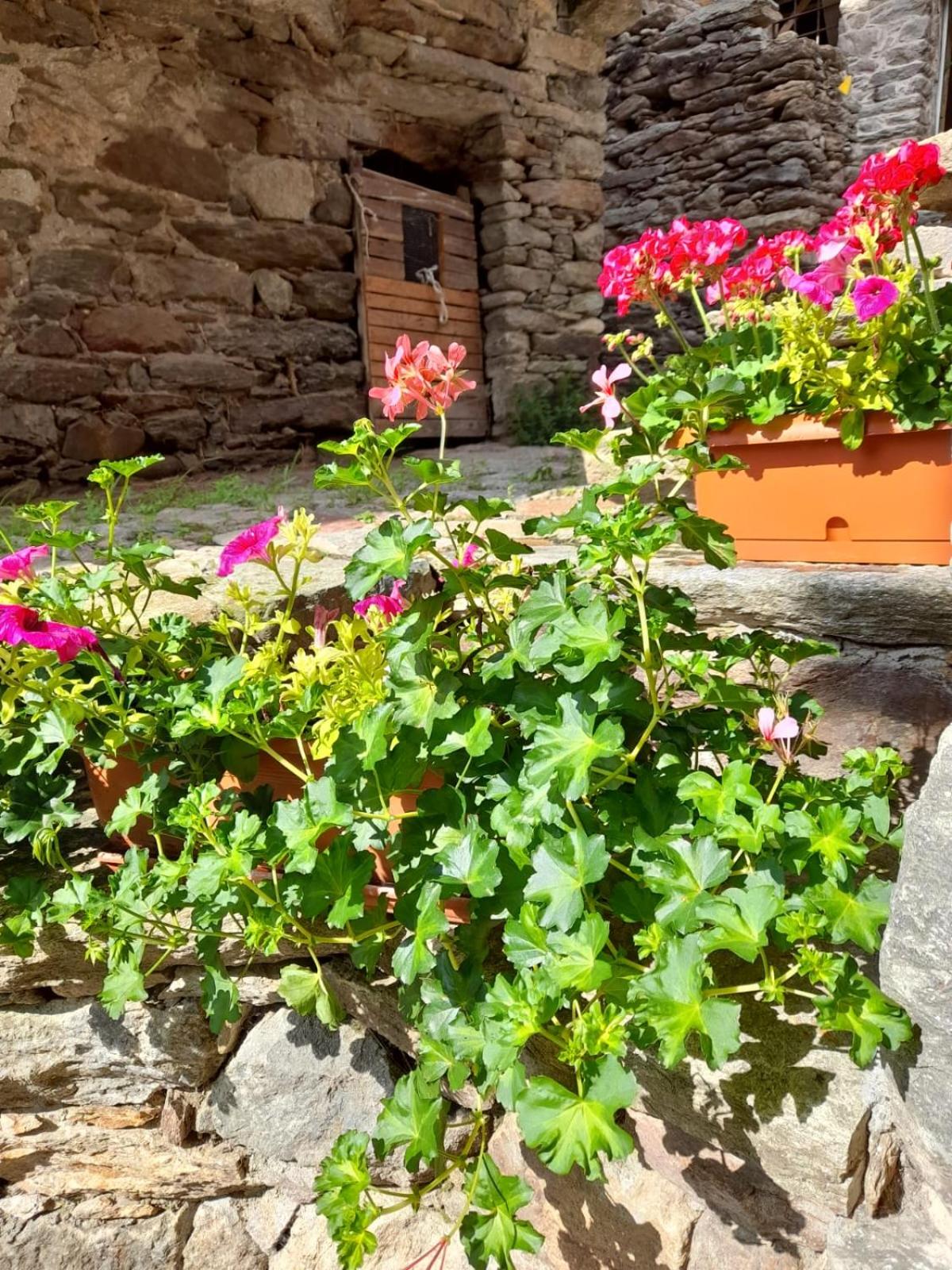 Bed & Breakfast La Crotta view 3